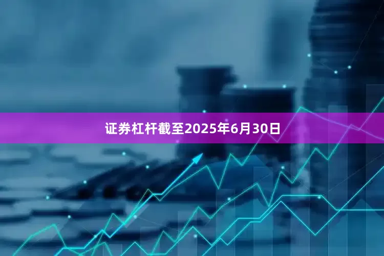 证券杠杆截至2025年6月30日