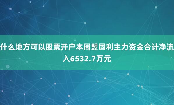 什么地方可以股票开户本周盟固利主力资金合计净流入6532.7万元
