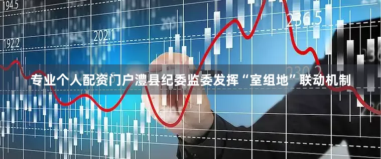 专业个人配资门户澧县纪委监委发挥“室组地”联动机制