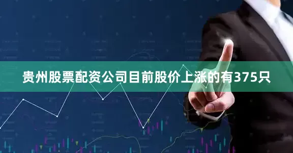 贵州股票配资公司目前股价上涨的有375只